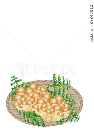 山の幸いろいろなめこ 山の幸いろいろなめこ 38345912