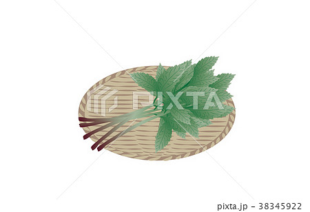 山の幸いろいろみず 38345922