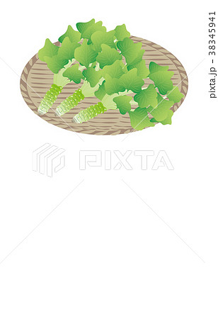 山の幸いろいろわさび 38345941