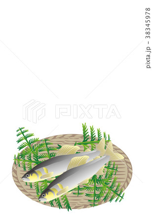 山の幸いろいろ鮎 山の幸いろいろ鮎 38345978