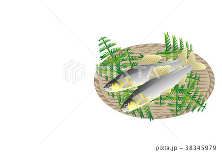 山の幸いろいろ鮎 38345979