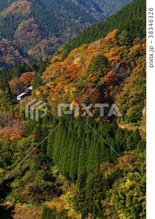 紅葉の木次線 38346326