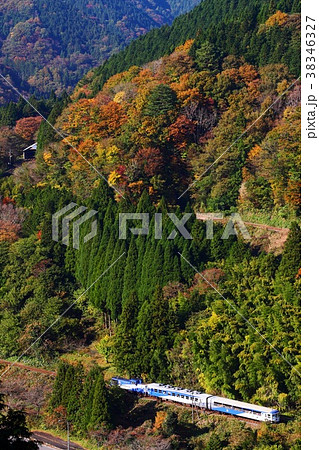 紅葉の木次線2 紅葉の木次線2 38346327