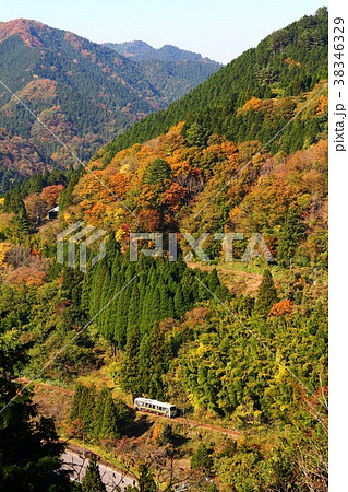 木次線の紅葉3 38346329