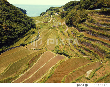 浜野浦の棚田の上空 38346742