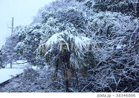 日本海の雪景色（福井県・高浜町） 38346806