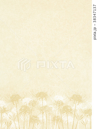 背景素材_彼岸花 背景素材_彼岸花 38347137