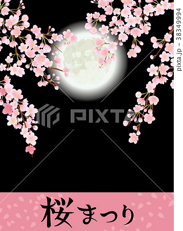 夜桜 桜祭りのイラスト素材