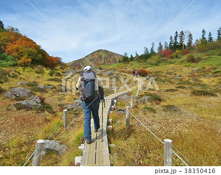 火打山・妙高山 火打山・妙高山 38350416