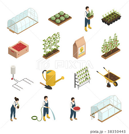 Greenhouse Elements Isometric Icons Set Greenhouse Elements Isometric Icons Set 38350443