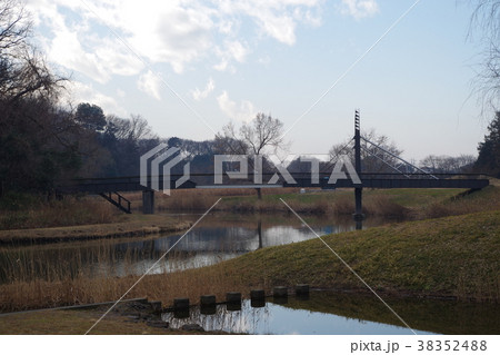 古河総合公園 38352488