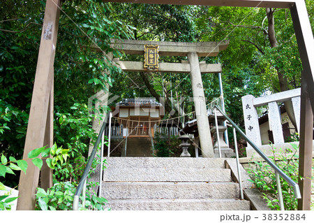 八幡大神宮 八幡大神宮 38352884