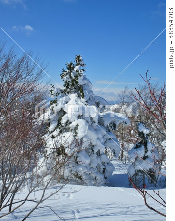 樹氷 樹氷 38354703
