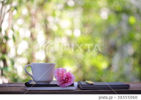 White cup with big pink rose at outdoor White cup with big pink rose at outdoor 38355060
