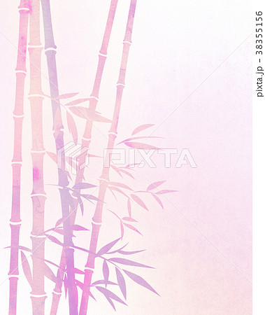 竹林 笹 テクスチャー 竹林 笹 テクスチャー 38355156