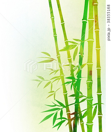 竹林 笹 テクスチャー 竹林 笹 テクスチャー 38355168