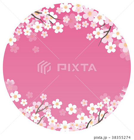 桜の背景(サンプルテキスト無し) 桜の背景(サンプルテキスト無し) 38355274