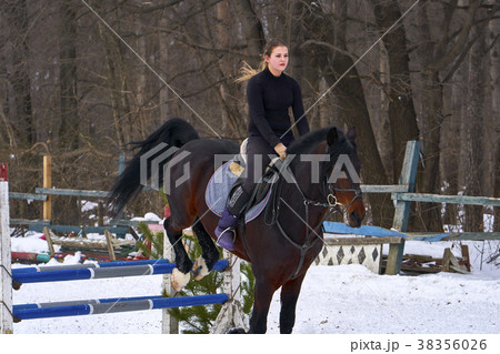 A girl on a horse jumps over the barrier. A girl on a horse jumps over the barrier. 38356026