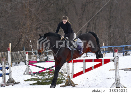 A girl on a horse jumps over the barrier. A girl on a horse jumps over the barrier. 38356032