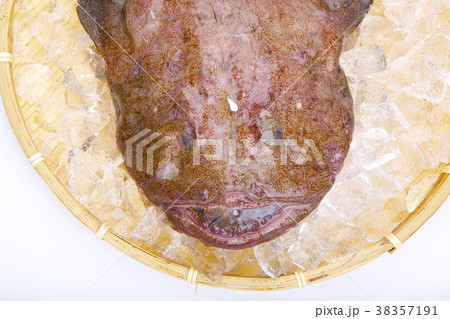 あんこう 食材 あんこう 食材 38357191