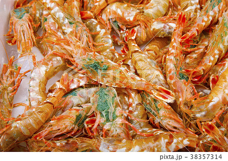 もさえび　食材 38357314