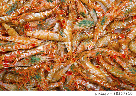 もさえび　食材 38357316