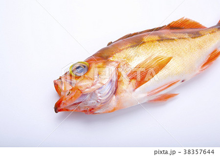メバル 食べ物 メバル 食べ物 38357644