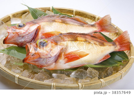 メバル 食べ物 メバル 食べ物 38357649