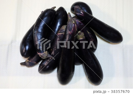 野菜　茄子収穫 38357670