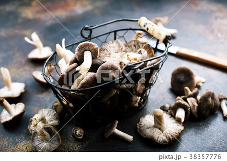 mushrooms mushrooms 38357776
