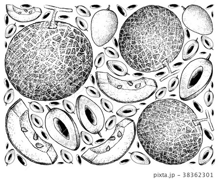 Background of Melon and Sapodilla Plum Fruits Background of Melon and Sapodilla Plum Fruits 38362301
