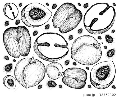 Background of Peach and Double Coconut Fruits 38362302