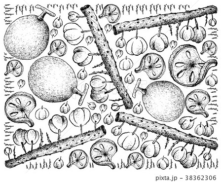 Background of Bael and Otaheite Gooseberry Fruits 38362306