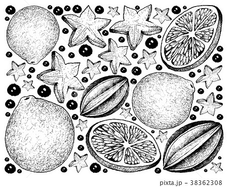 Hand Drawn Background of Carambola and Lime Fruits 38362308