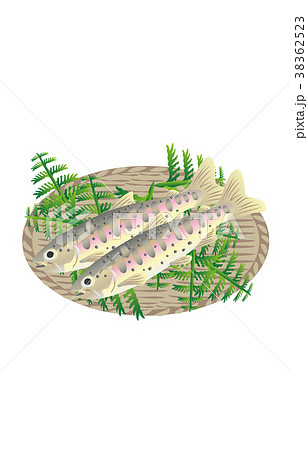 山の幸いろいろ山女魚 山の幸いろいろ山女魚 38362523