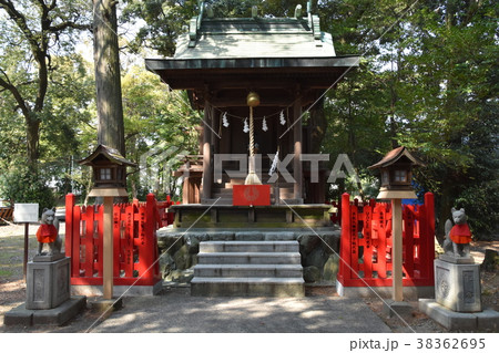 静岡県浜松八幡宮　東照宮 38362695