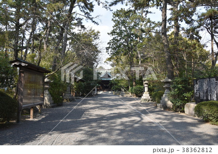 静岡県　浜松八幡宮 38362812