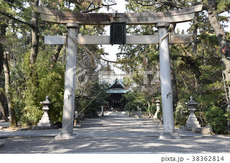 静岡県　浜松八幡宮 38362814