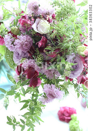 スカビオサとスイートピー 赤紫のグラデーション グリーンレースフラワーの写真素材 38363302 Pixta