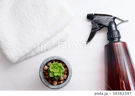 観葉植物を育てる。多肉植物の黄麗と霧吹きスプレー。 観葉植物を育てる。多肉植物の黄麗と霧吹きスプレー。 38363397