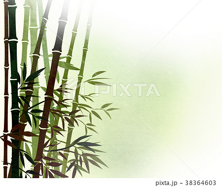 竹林 笹 テクスチャー 竹林 笹 テクスチャー 38364603