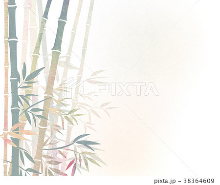 竹林　笹　テクスチャー 38364609