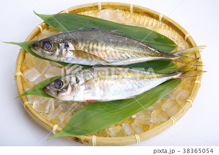 アジ　食材 38365054