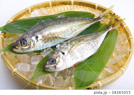 アジ　食材 38365055