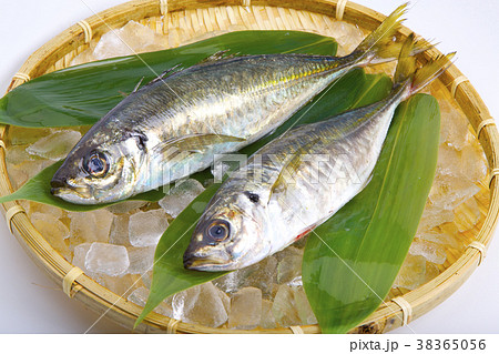 アジ　食材 38365056