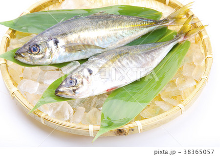 アジ　食材 38365057
