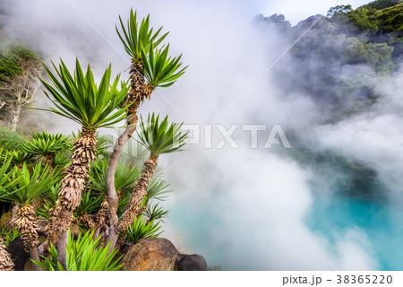 Oita, Japan hot springs. 38365220