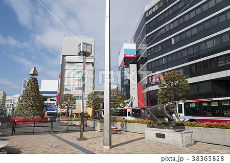 JR吉祥寺駅の北口駅前広場（東京都武蔵野市） 38365828