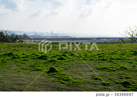 台湾 荒野 荒地 38366697