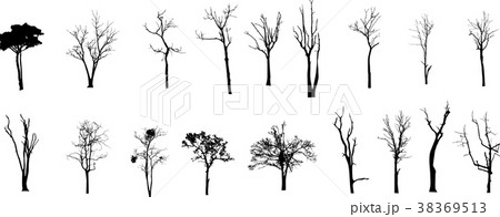 Dead Tree without Leaves Vector Dead Tree without Leaves Vector 38369513